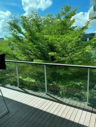 Belle Vue Residences (D9), Condominium #480004461